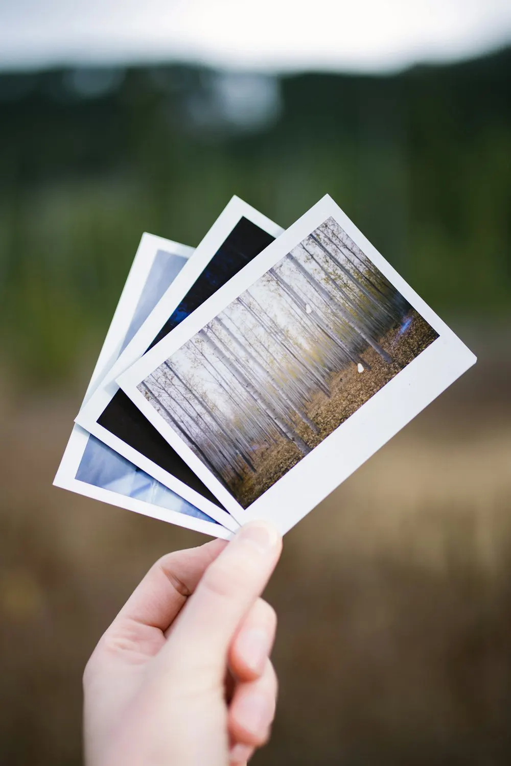 Choisir parmi des photographies