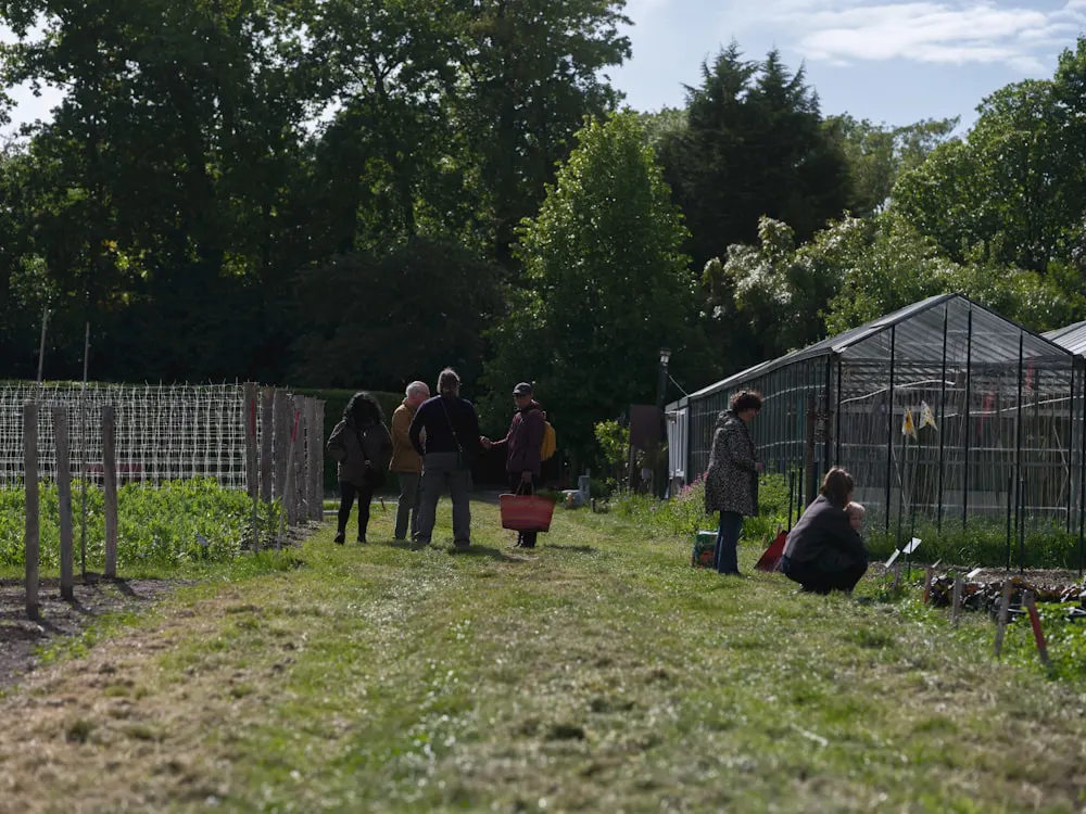 Des habitants se retrouvent dans un jardin partagé